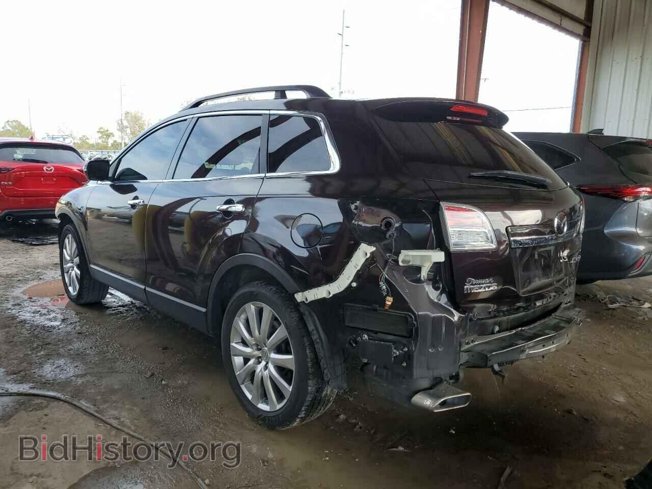 2009 MAZDA CX-9 - VIN: JM3TB28A790165130 - Фото 2