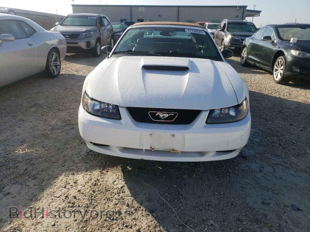 2003 FORD MUSTANG - VIN: 1FAFP45X93F403484 - Photo 5