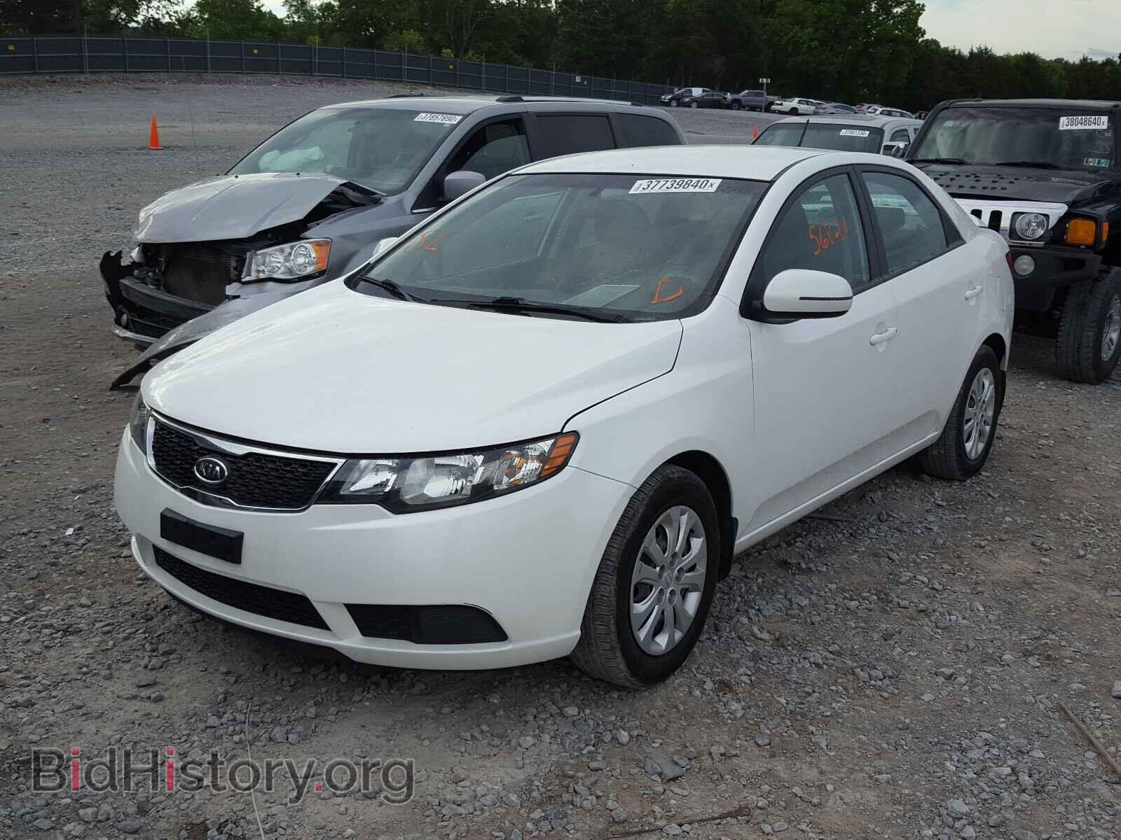2012 KIA FORTE - VIN: KNAFU4A2XC5604438 - Фото 2