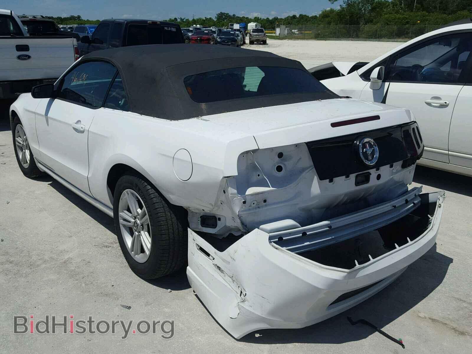 2014 FORD MUSTANG - VIN: 1ZVBP8EM0E5289631 - Фото 3