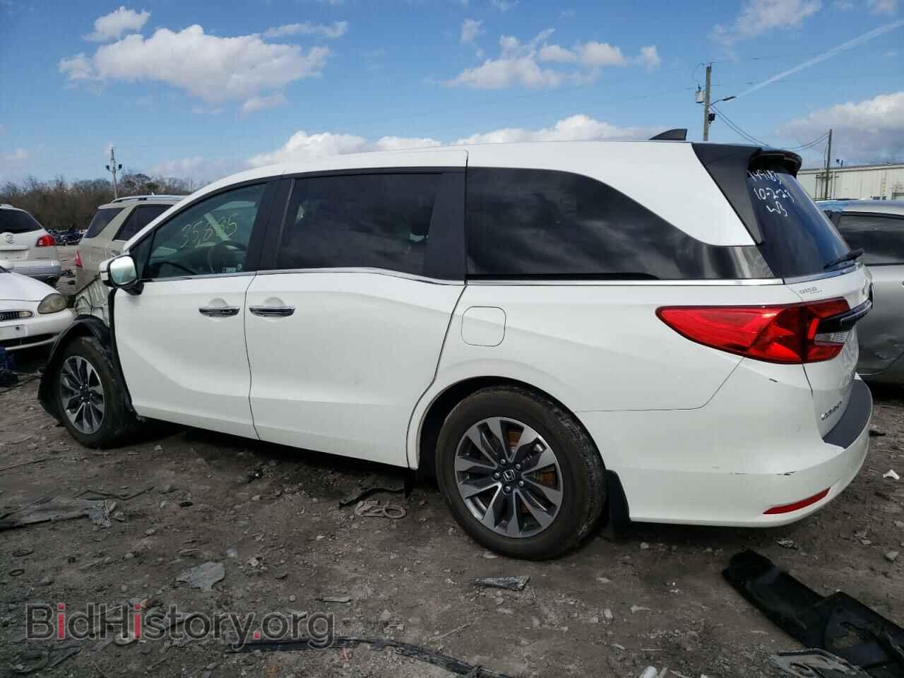 2021 HONDA All Models - VIN: 5FNRL6H79MB044055 - Фото 2