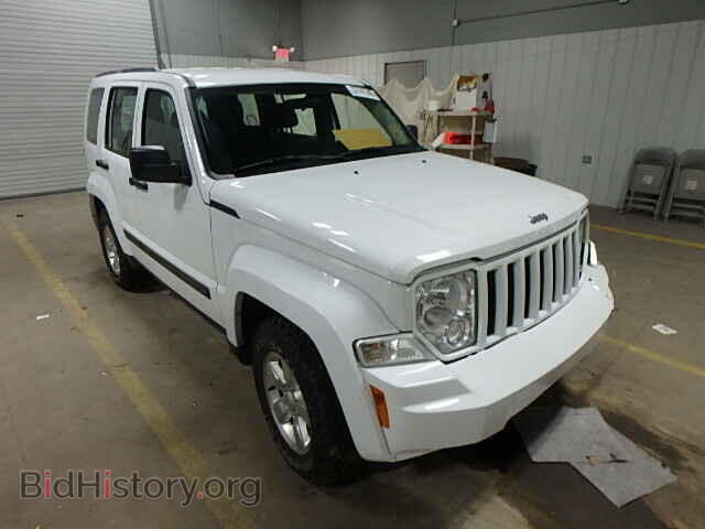 Фотография 1J4PN2GK5BW553501 - JEEP LIBERTY 2011