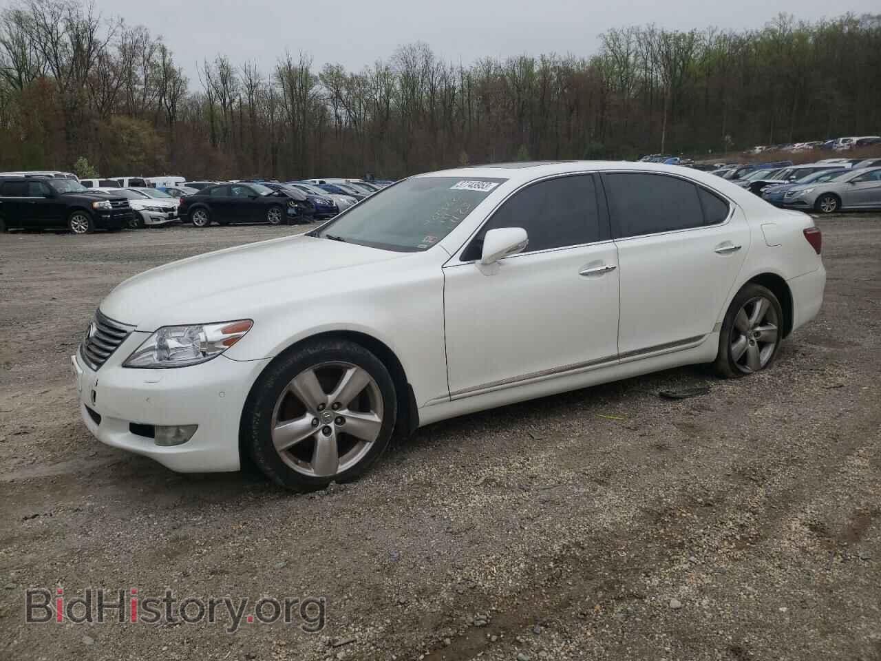 Фотография JTHGL5EF2A5041037 - LEXUS LS460 2010