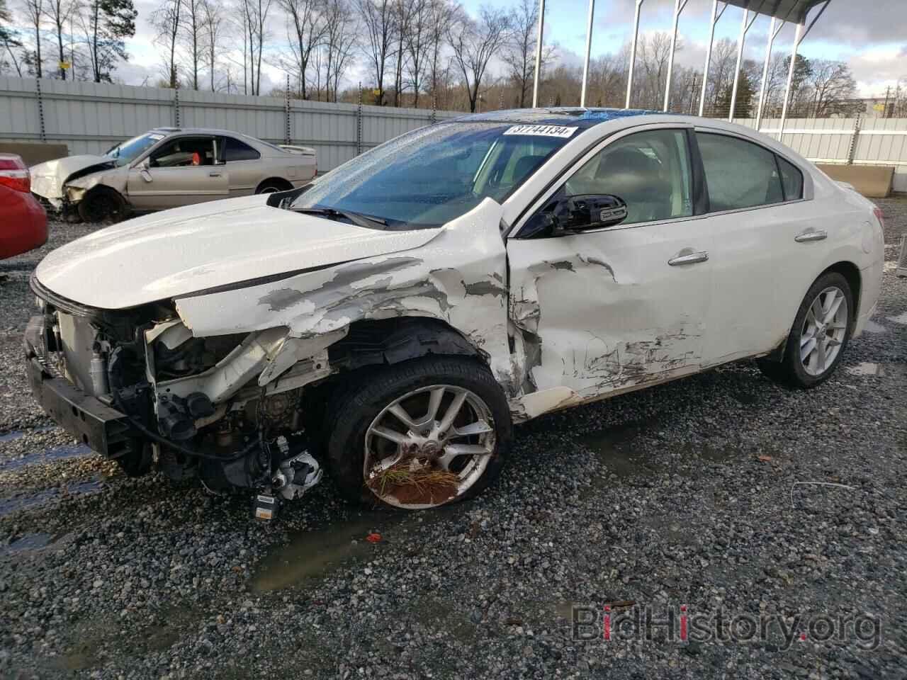 Photo 1N4AA5AP7BC849477 - NISSAN MAXIMA 2011