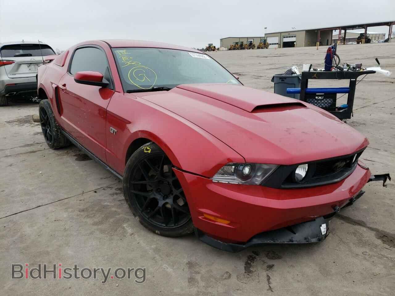 Фотография 1ZVBP8CH8A5147334 - FORD MUSTANG 2010