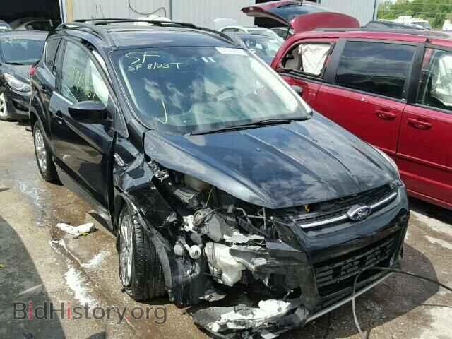 Фотография 1FMCU0GX9DUA58638 - FORD ESCAPE 2013