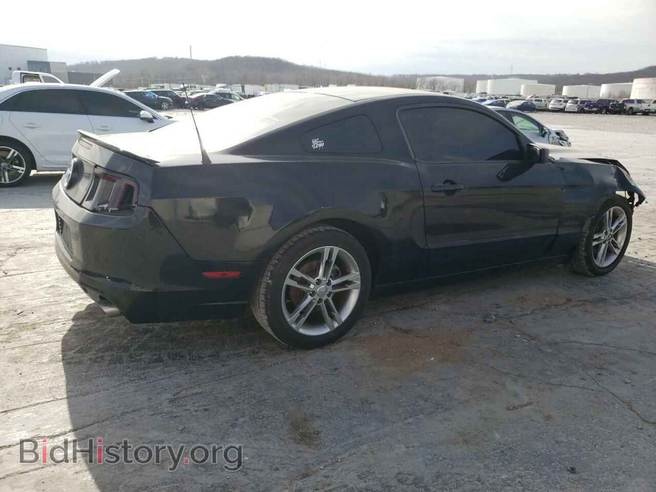 2013 FORD ALL Models - VIN: 1ZVBP8AM1D5209130 - Фото 3