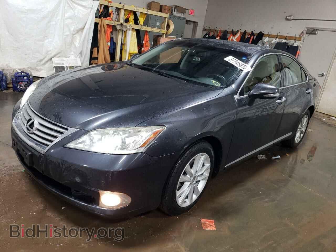 Фотография JTHBK1EG2A2403920 - LEXUS ES350 2010