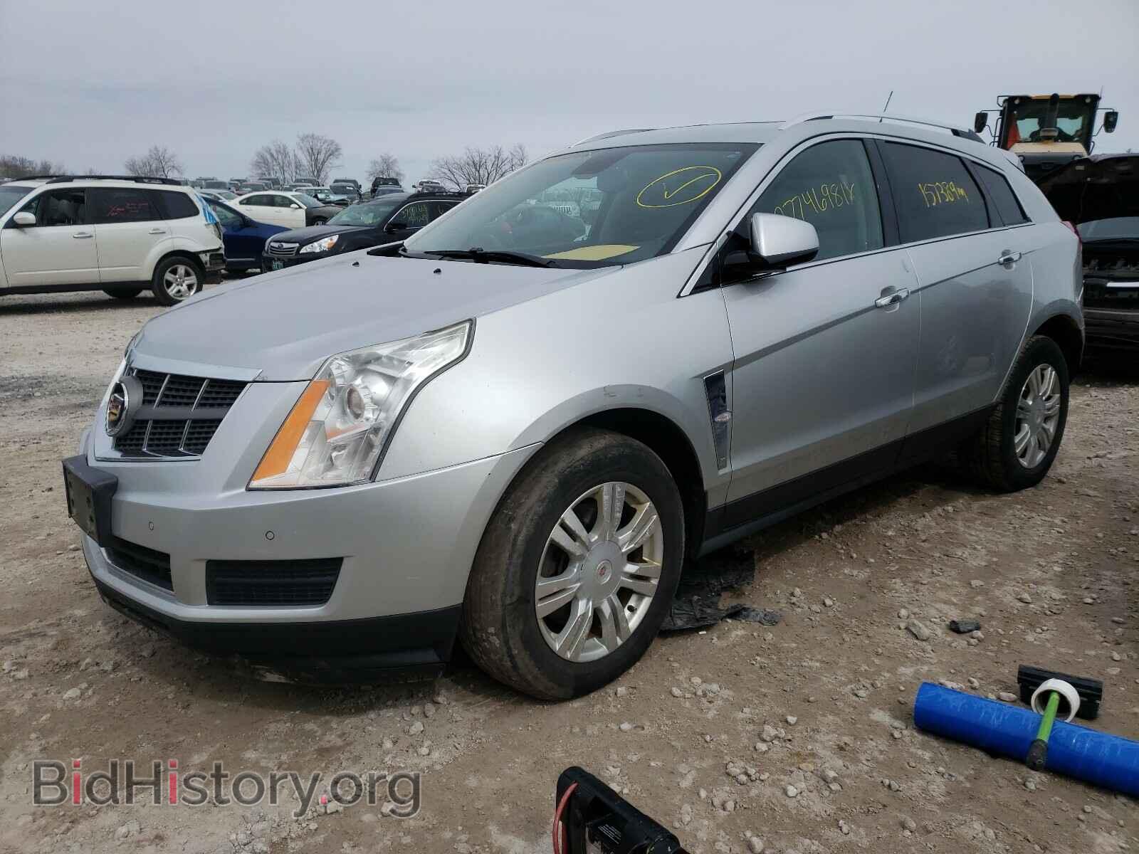 2010 CADILLAC SRX - VIN: 3GYFNDEY7AS519195 - Фото 2