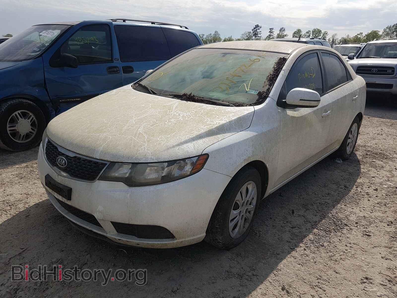 2013 KIA FORTE - VIN: KNAFU4A25D5670722 - Фото 2