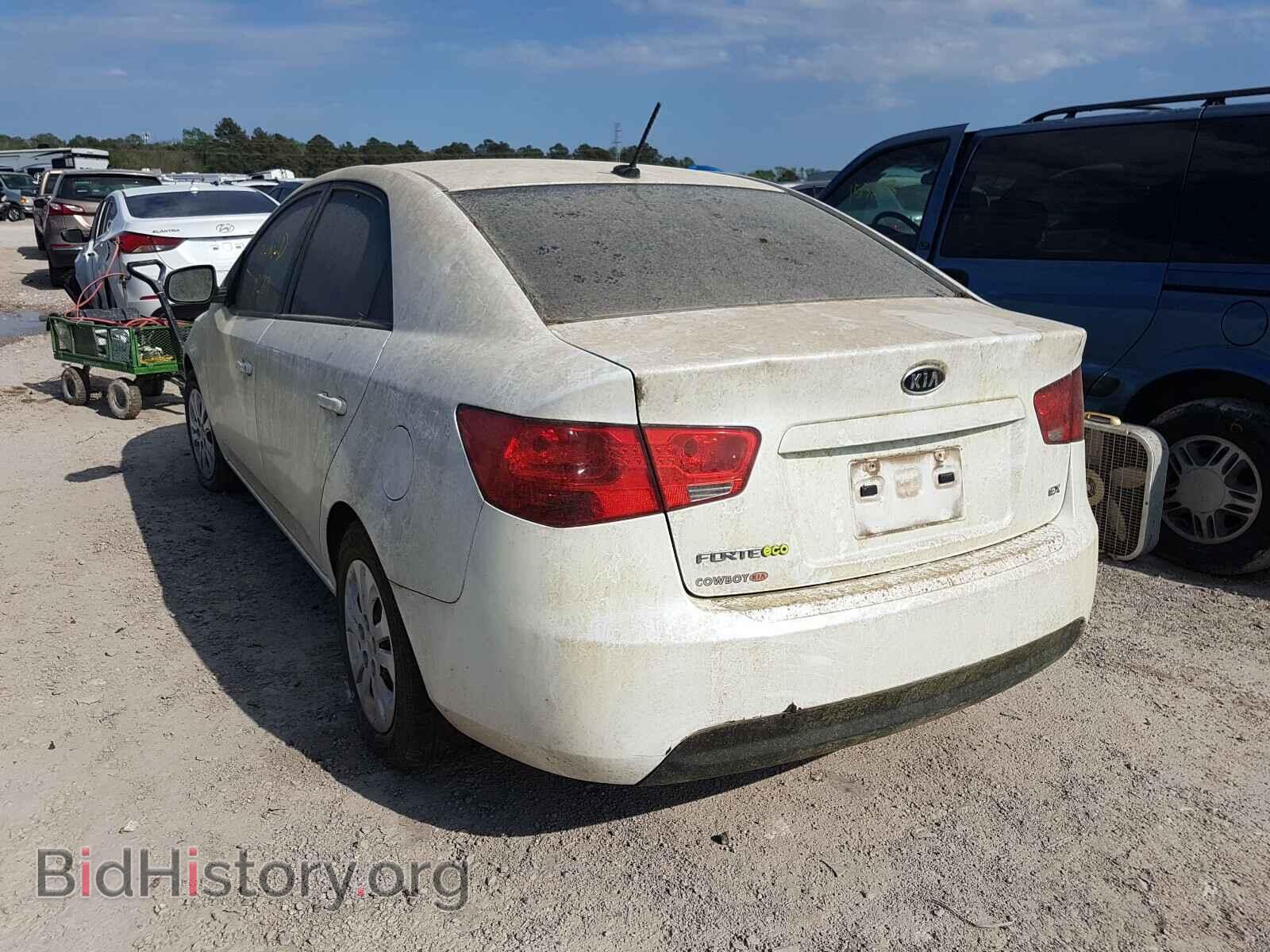 2013 KIA FORTE - VIN: KNAFU4A25D5670722 - Фото 3