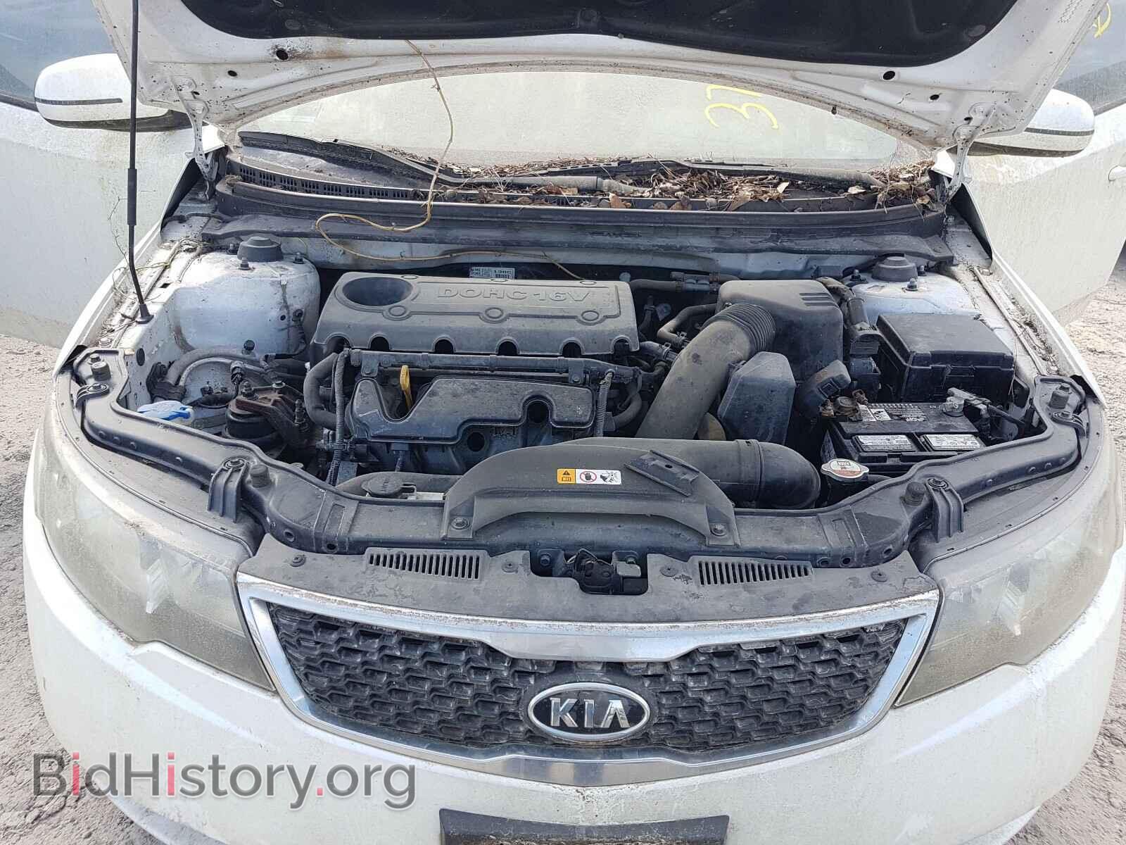 2013 KIA FORTE - VIN: KNAFU4A25D5670722 - Фото 7