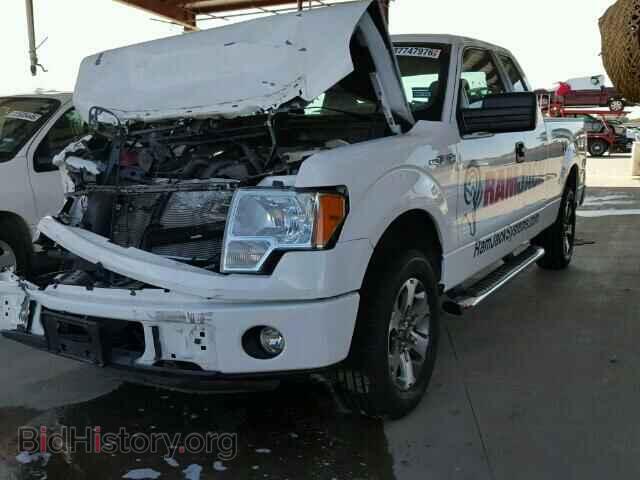 2013 FORD F150 - VIN: 1FTFX1CF8DFD33058 - Фото 2