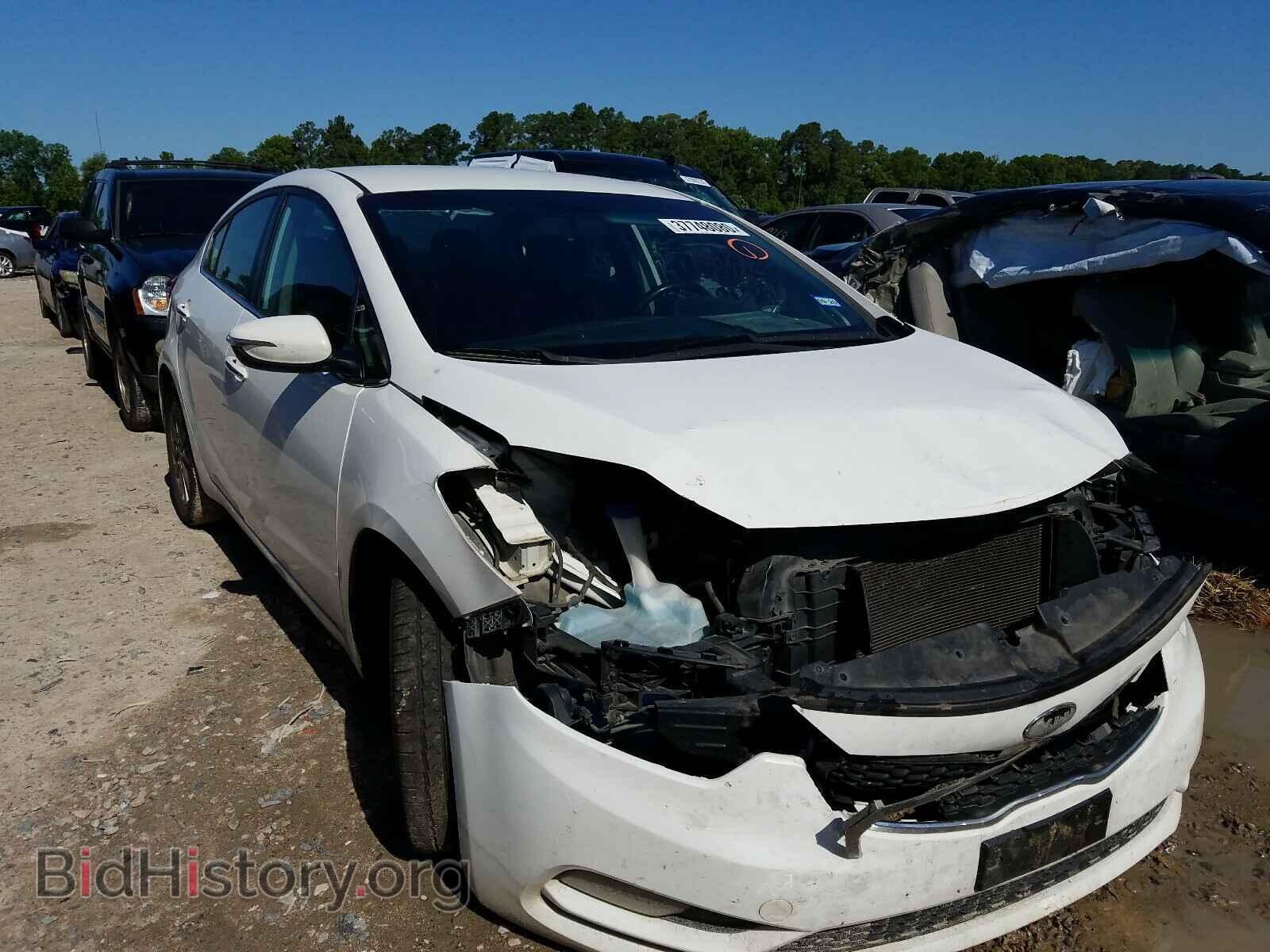 Фотография KNAFX4A8XE5118954 - KIA FORTE 2014