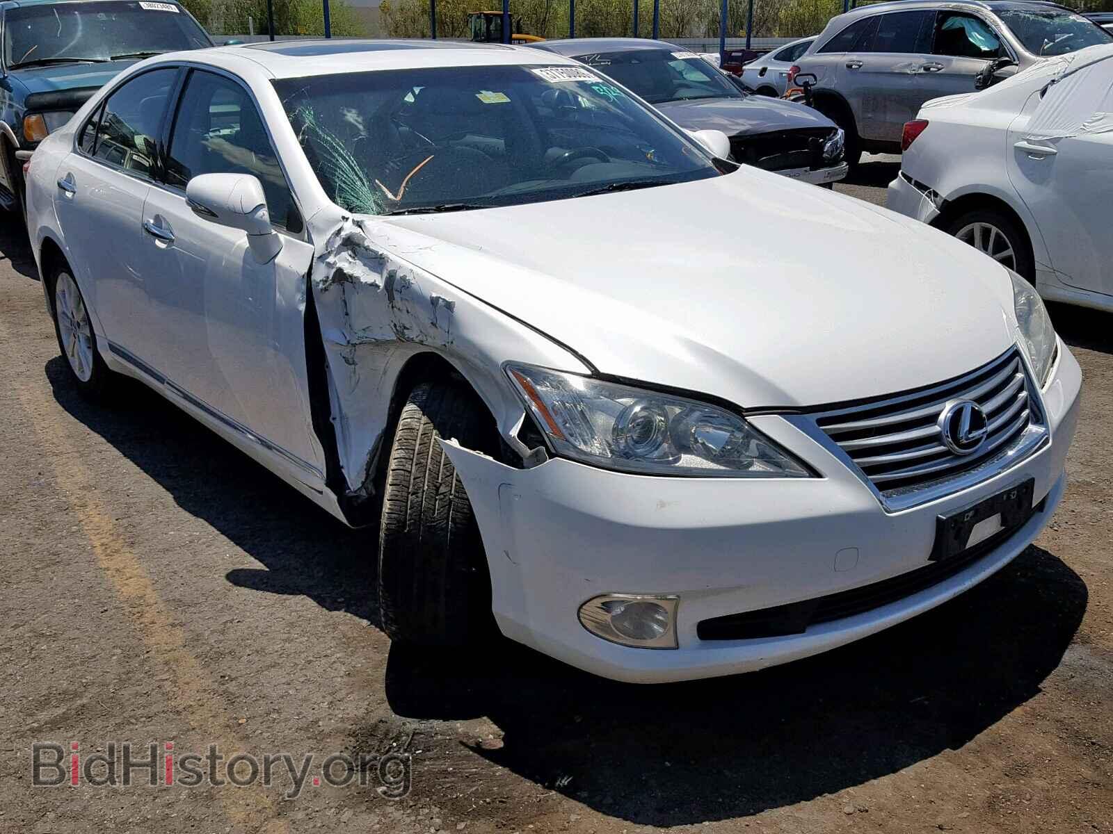 Photo JTHBK1EG4A2380186 - LEXUS ES350 2010