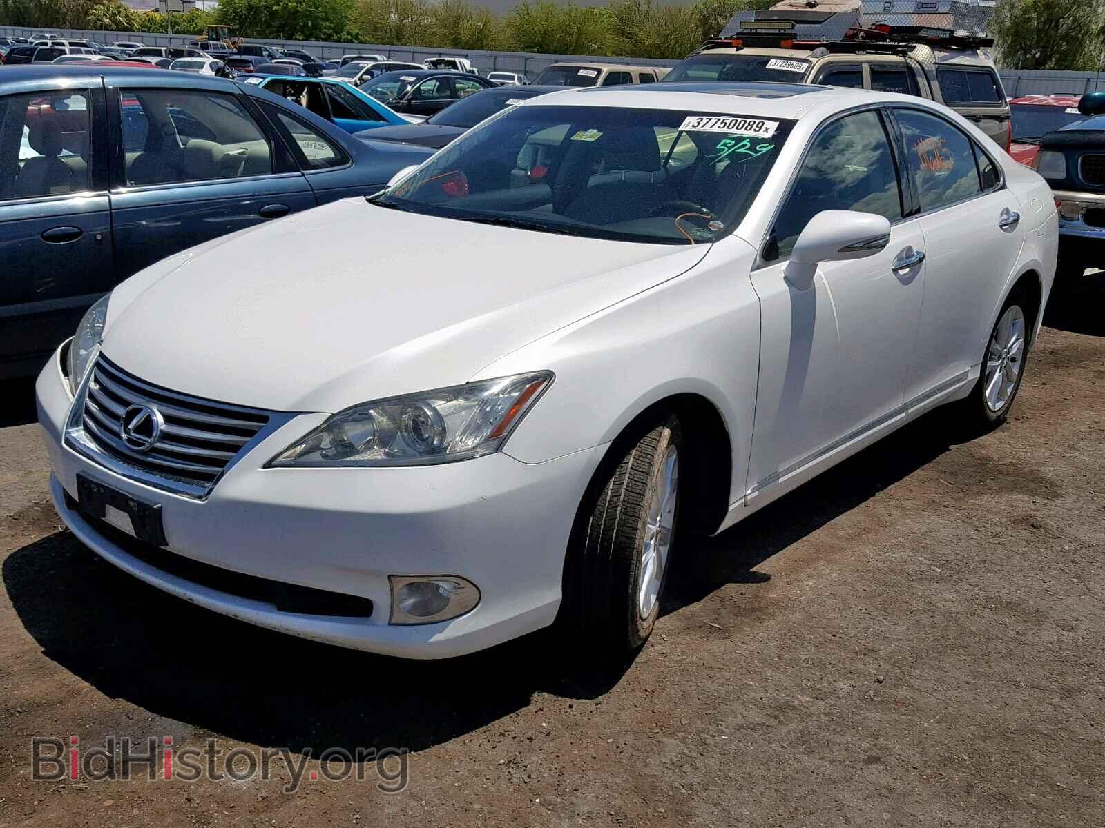 2010 LEXUS ES350 - VIN: JTHBK1EG4A2380186 - Фото 2