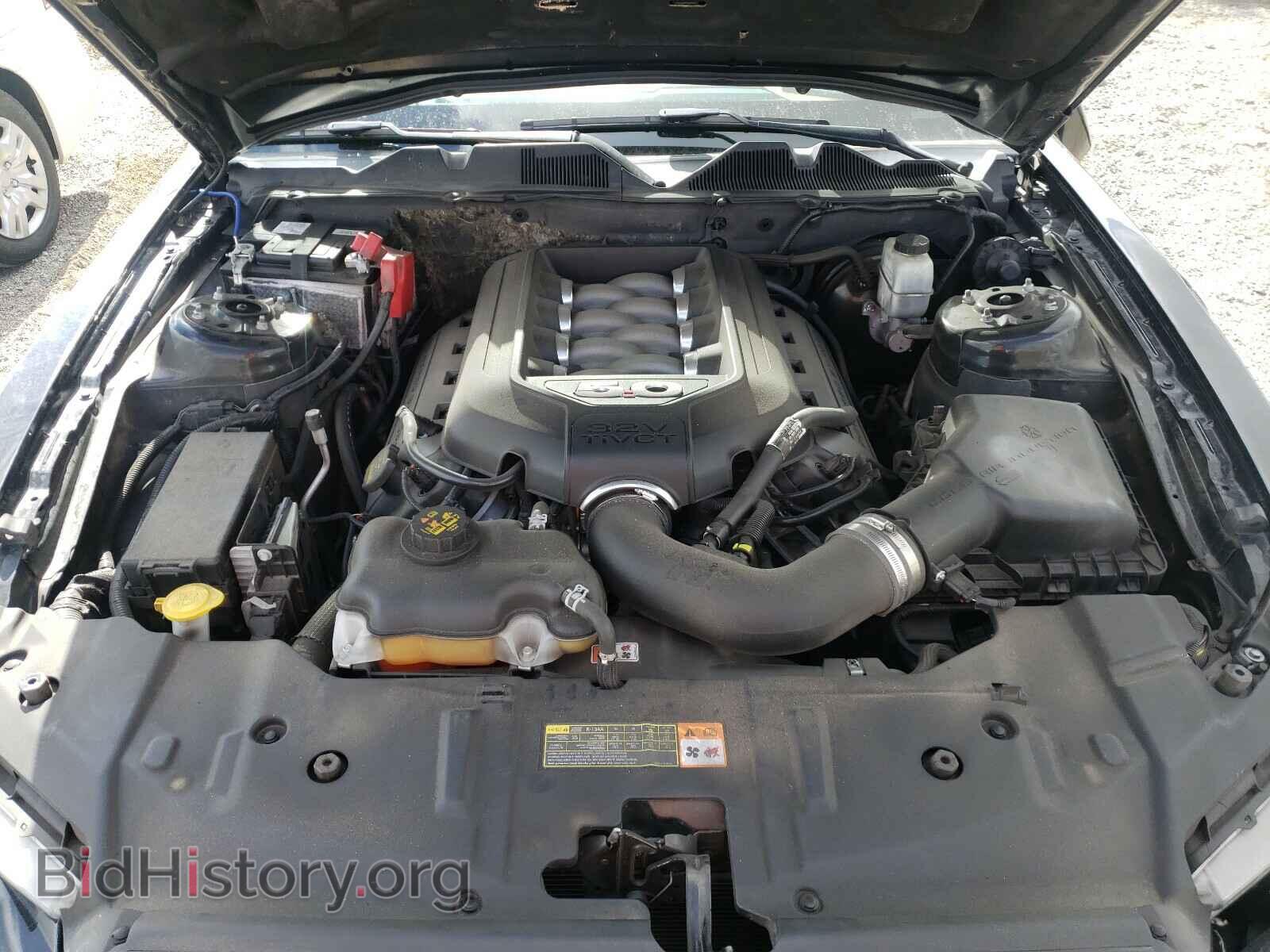 2014 FORD MUSTANG - VIN: 1ZVBP8CF8E5305191 - Фото 7
