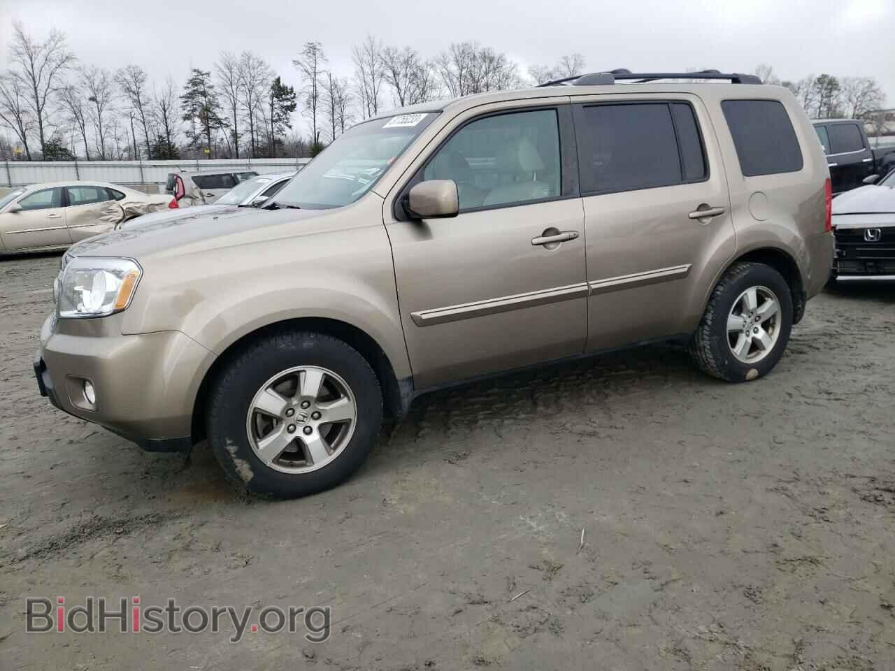 Фотография 5FNYF48609B036139 - HONDA PILOT 2009