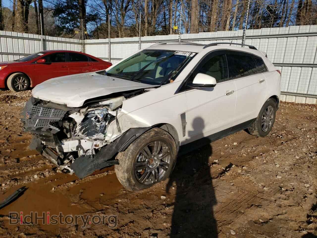 Фотография 3GYFNAEY9BS518291 - CADILLAC SRX 2011