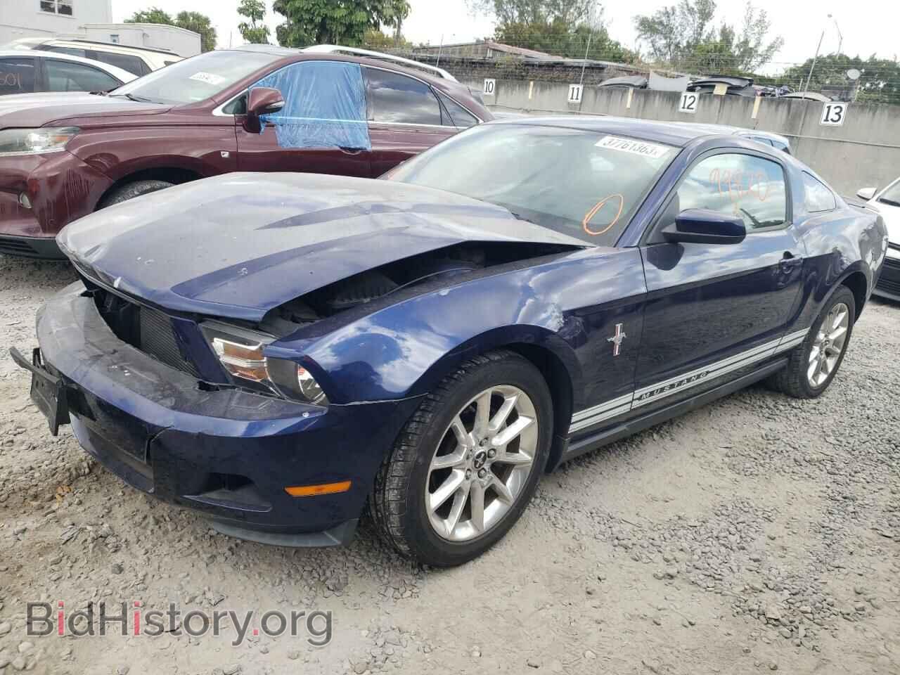 Фотография 1ZVBP8AN7A5132509 - FORD MUSTANG 2010