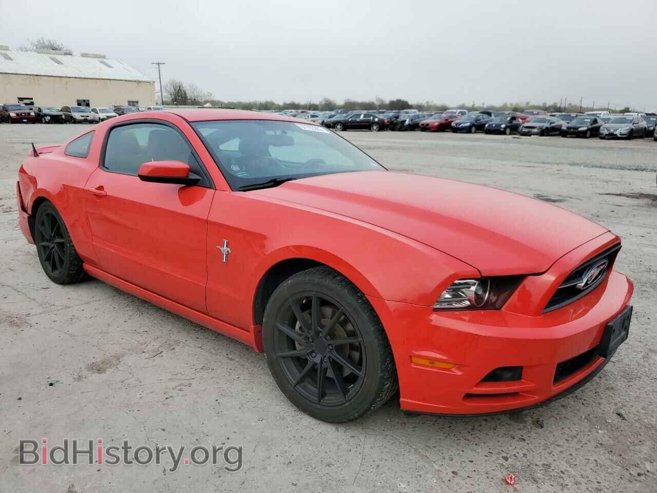 2013 FORD MUSTANG - VIN: 1ZVBP8AM2D5215454 - Фото 4