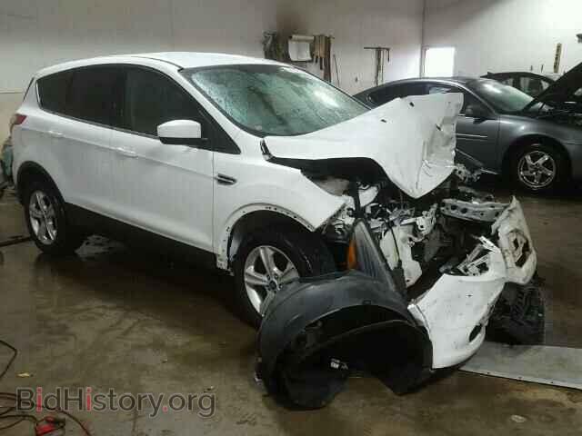 Фотография 1FMCU9GX6DUB09193 - FORD ESCAPE 2013