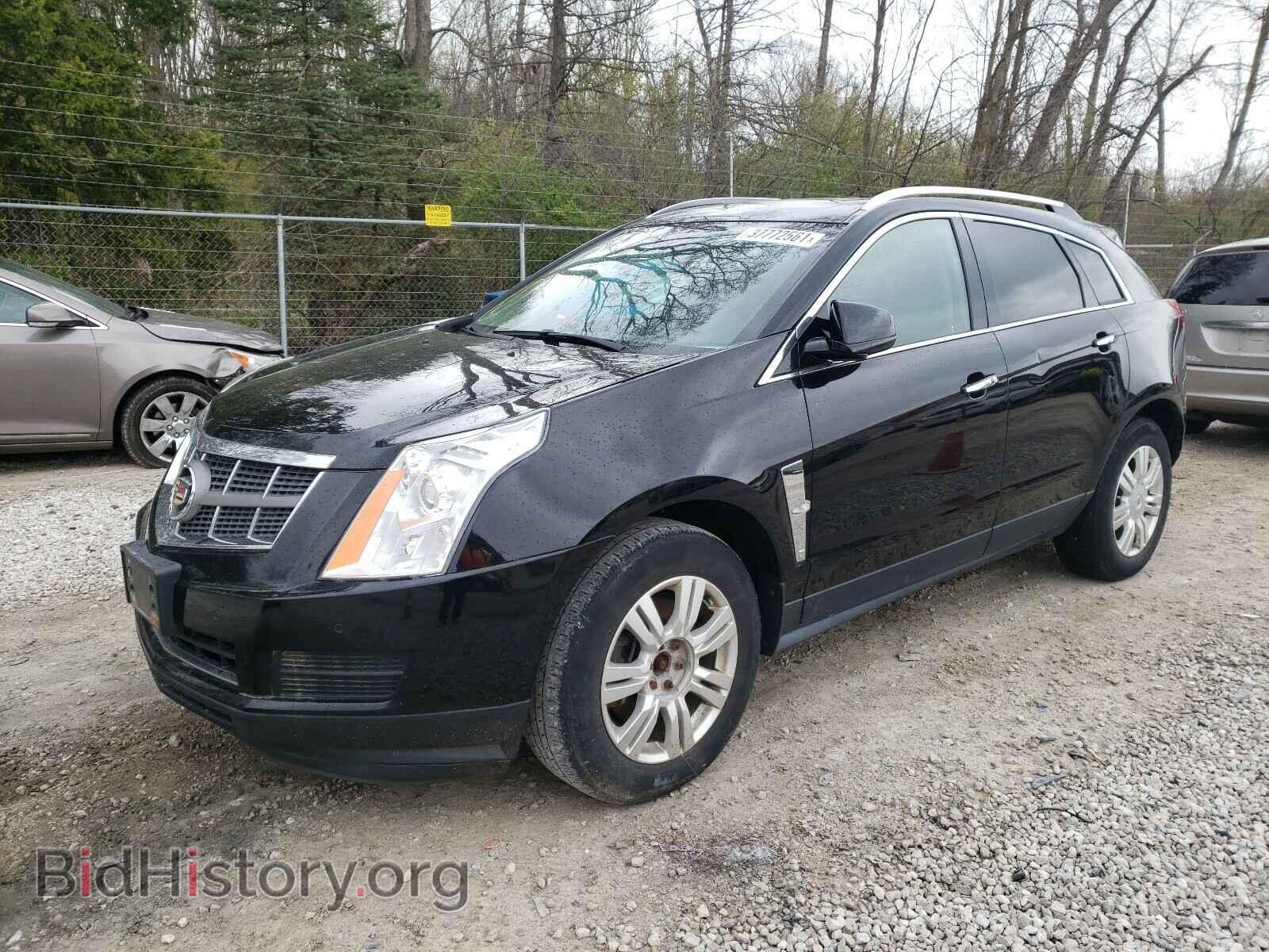 2011 CADILLAC SRX - VIN: 3GYFNAEY4BS667787 - Фото 2