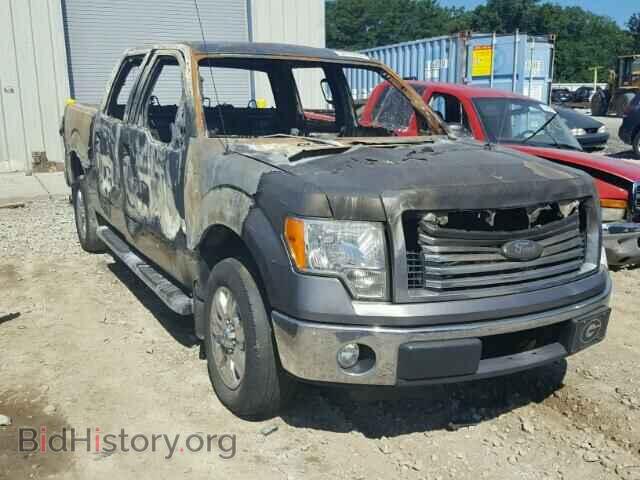 Photo 1FTFW1CT0CFA35952 - FORD F150 2012