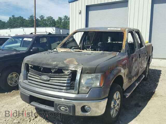 2012 FORD F150 - VIN: 1FTFW1CT0CFA35952 - Фото 2