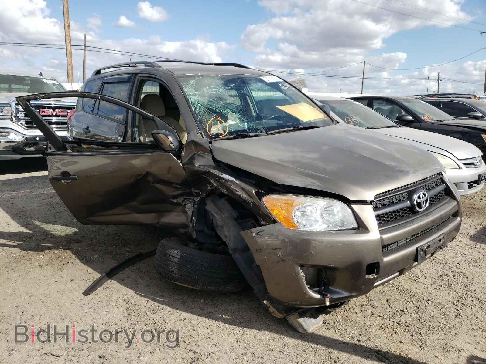 Фотография 2T3BF4DV9BW164334 - TOYOTA RAV4 2011