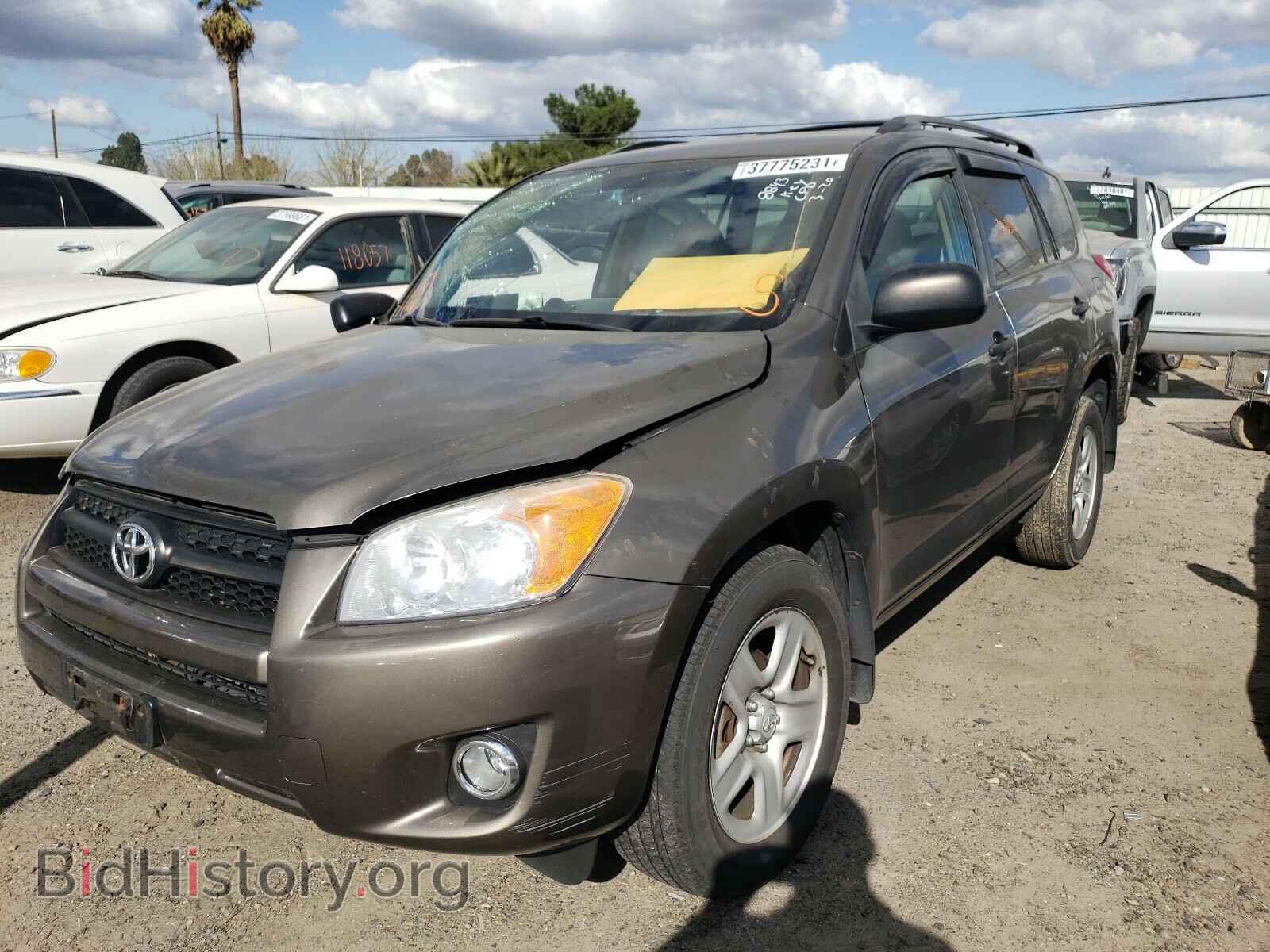 2011 TOYOTA RAV4 - VIN: 2T3BF4DV9BW164334 - Фото 2