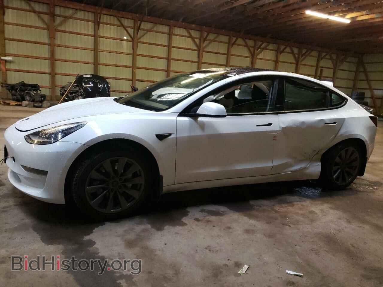 Photo 5YJ3E1EA5MF083034 - TESLA MODEL 3 2021
