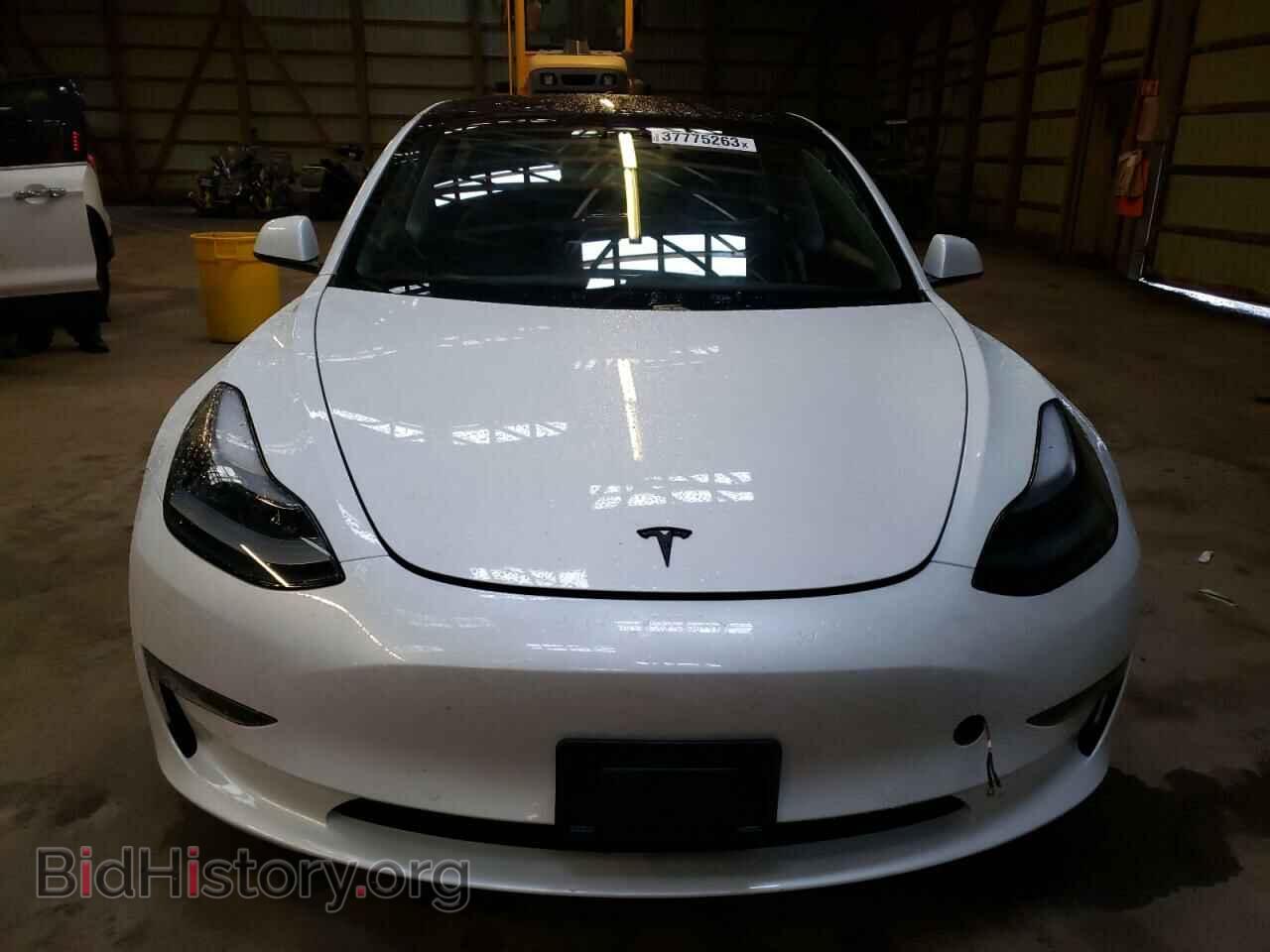 2021 TESLA MODEL 3 - VIN: 5YJ3E1EA5MF083034 - Фото 5