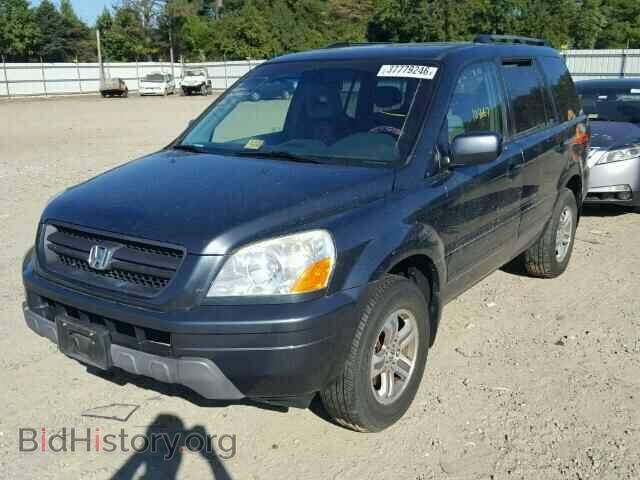 2005 HONDA PILOT - VIN: 5FNYF18545B063358 - Фото 2