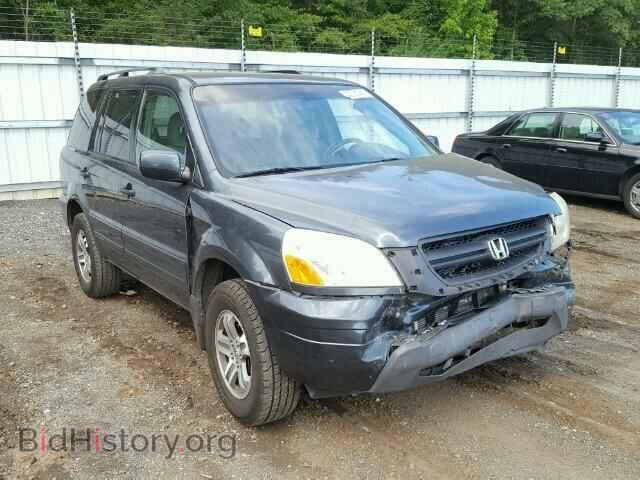 Фотография 5FNYF18595B059242 - HONDA PILOT 2005