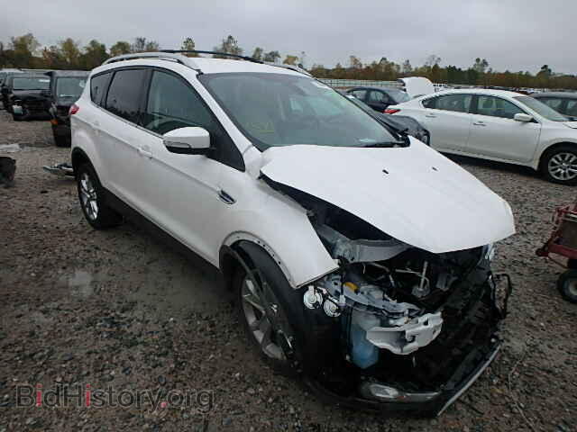 Фотография 1FMCU0JX4EUC07449 - FORD ESCAPE 2014