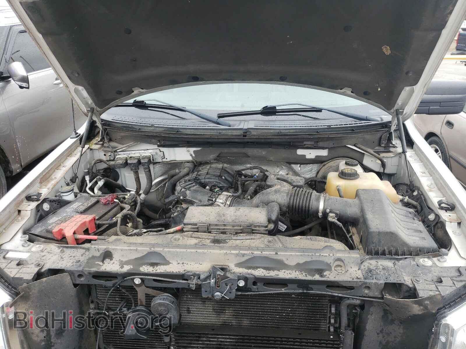 2011 FORD F150 - VIN: 1FTMF1CM5BFB52165 - Фото 7