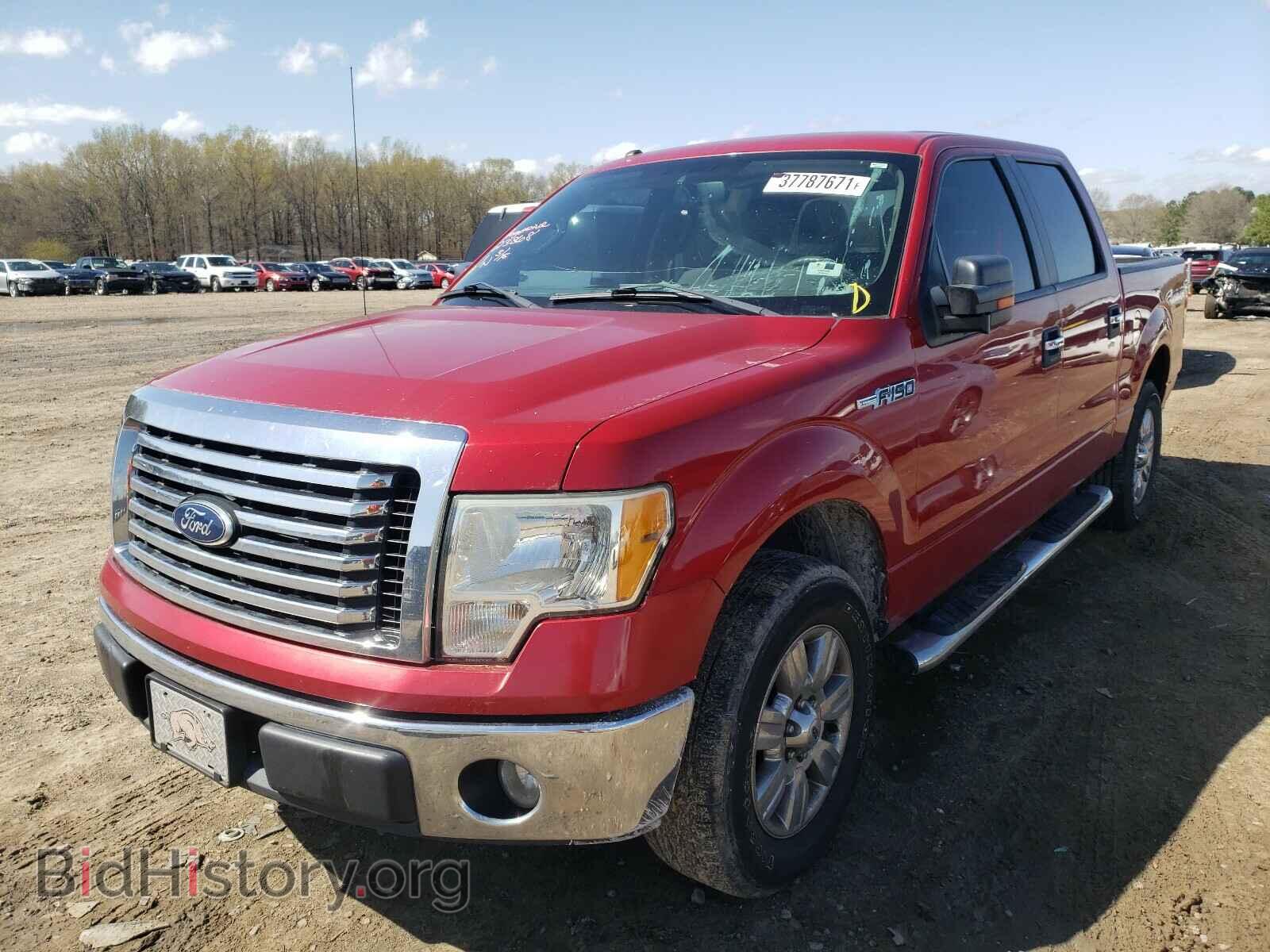 2010 FORD F150 - VIN: 1FTEW1C82AKE28721 - Фото 2