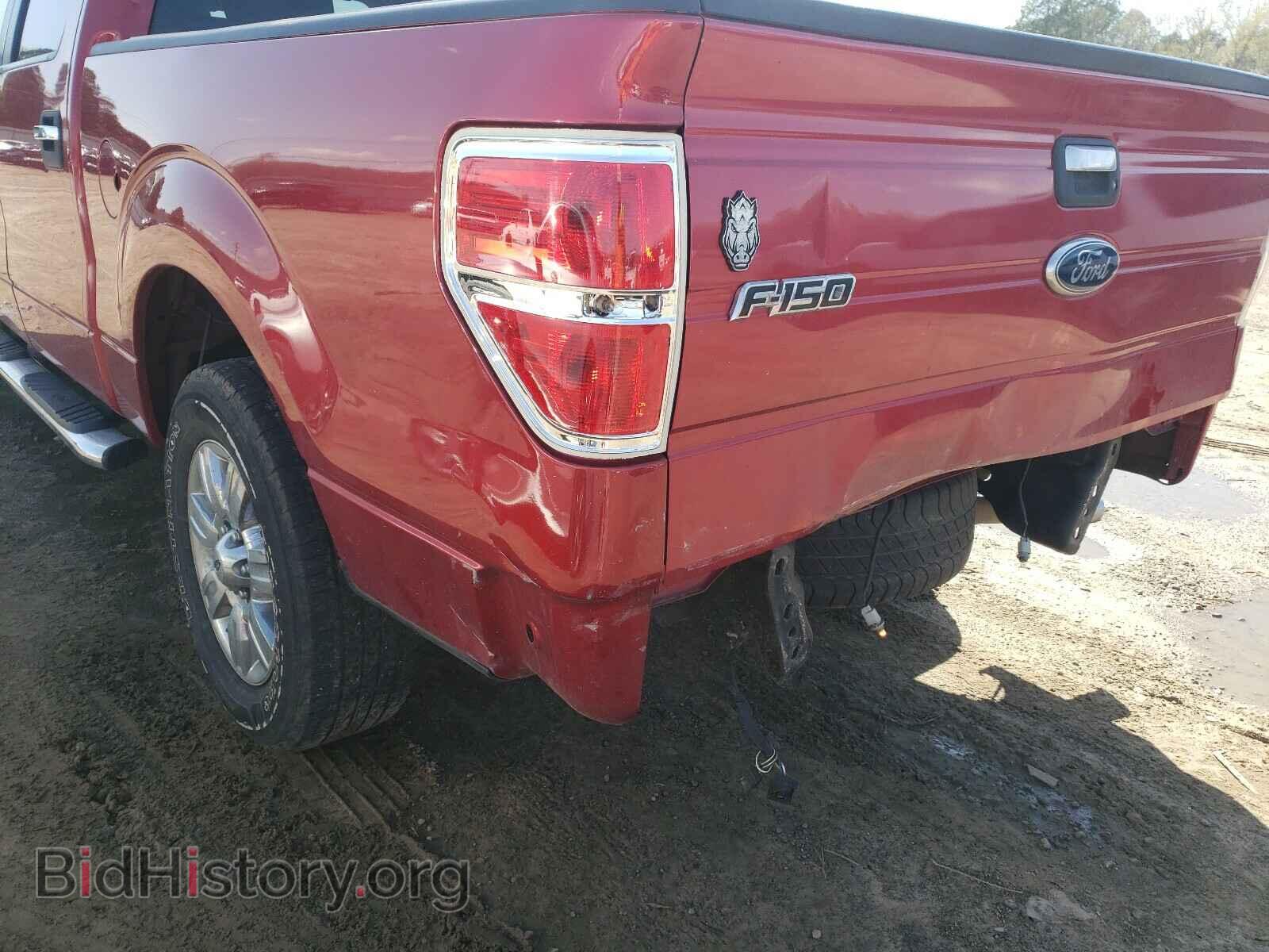 2010 FORD F150 - VIN: 1FTEW1C82AKE28721 - Фото 9