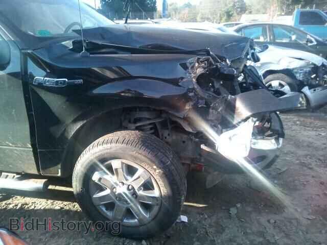 2013 FORD F150 - VIN: 1FTEW1CM5DFD76043 - Фото 10