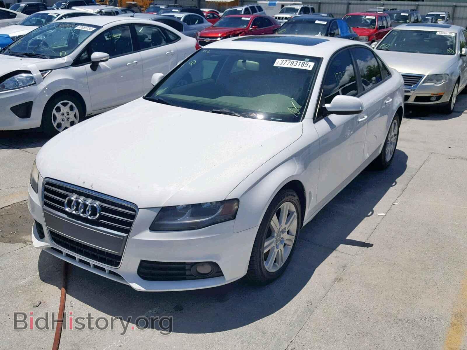 2010 AUDI A4 - VIN: WAUAFAFL3AN012297 - Фото 2