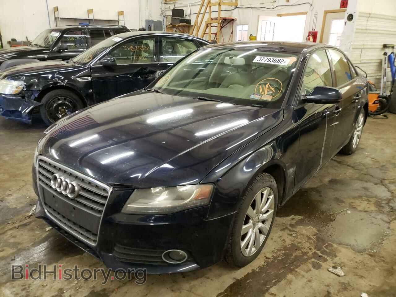 2010 AUDI A4 - VIN: WAUAFAFLXAN041117 - Фото 2