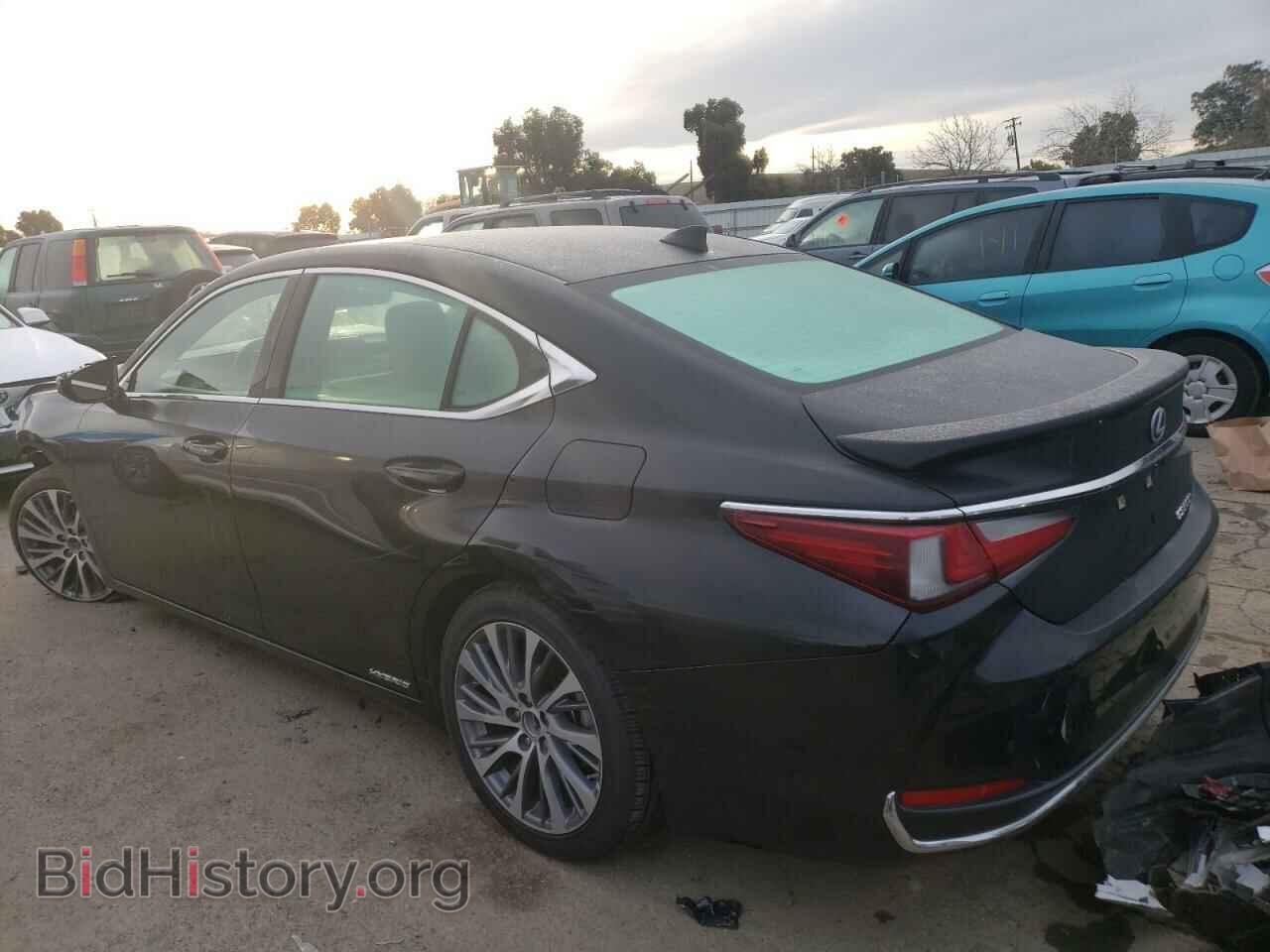2021 LEXUS ES300 - VIN: 58ADA1C18MU012313 - Фото 2