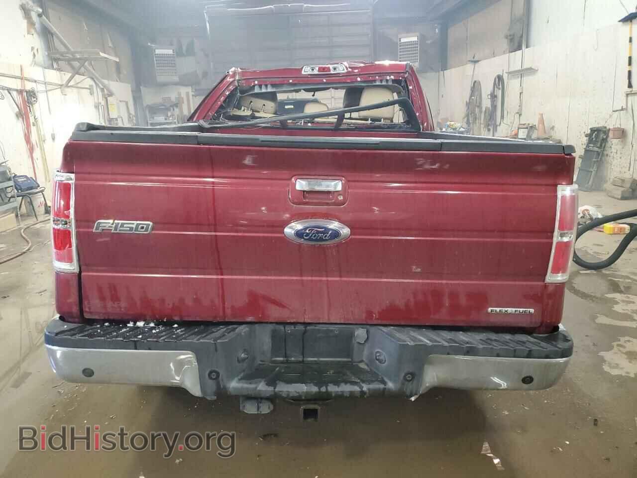 2013 FORD F-150 - VIN: 1FTFX1EF1DFB75675 - Фото 6