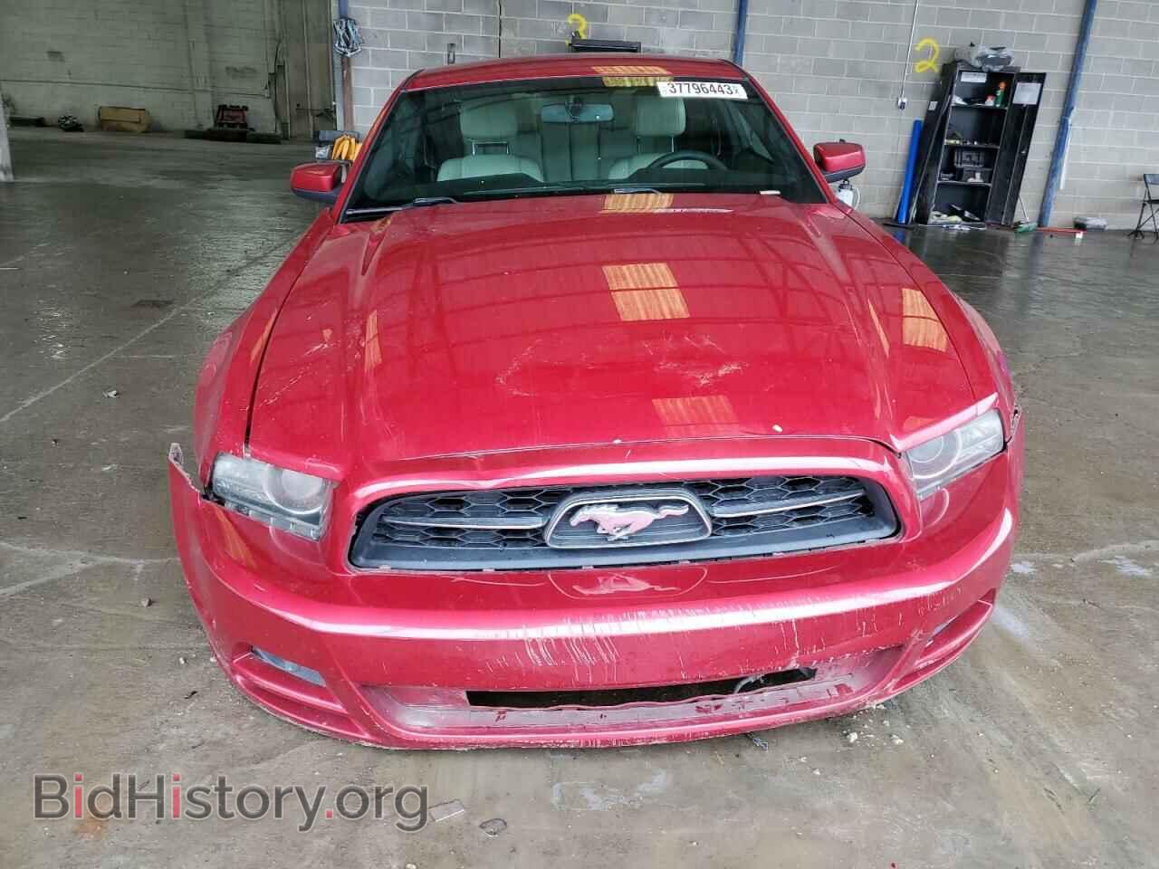 2013 FORD MUSTANG - VIN: 1ZVBP8AM5D5255897 - Фото 5