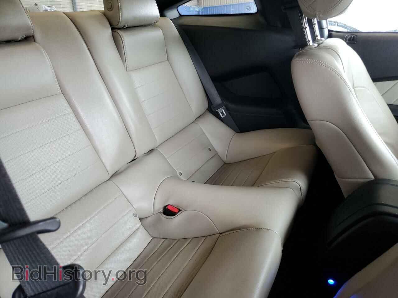 2013 FORD MUSTANG - VIN: 1ZVBP8AM5D5255897 - Фото 10