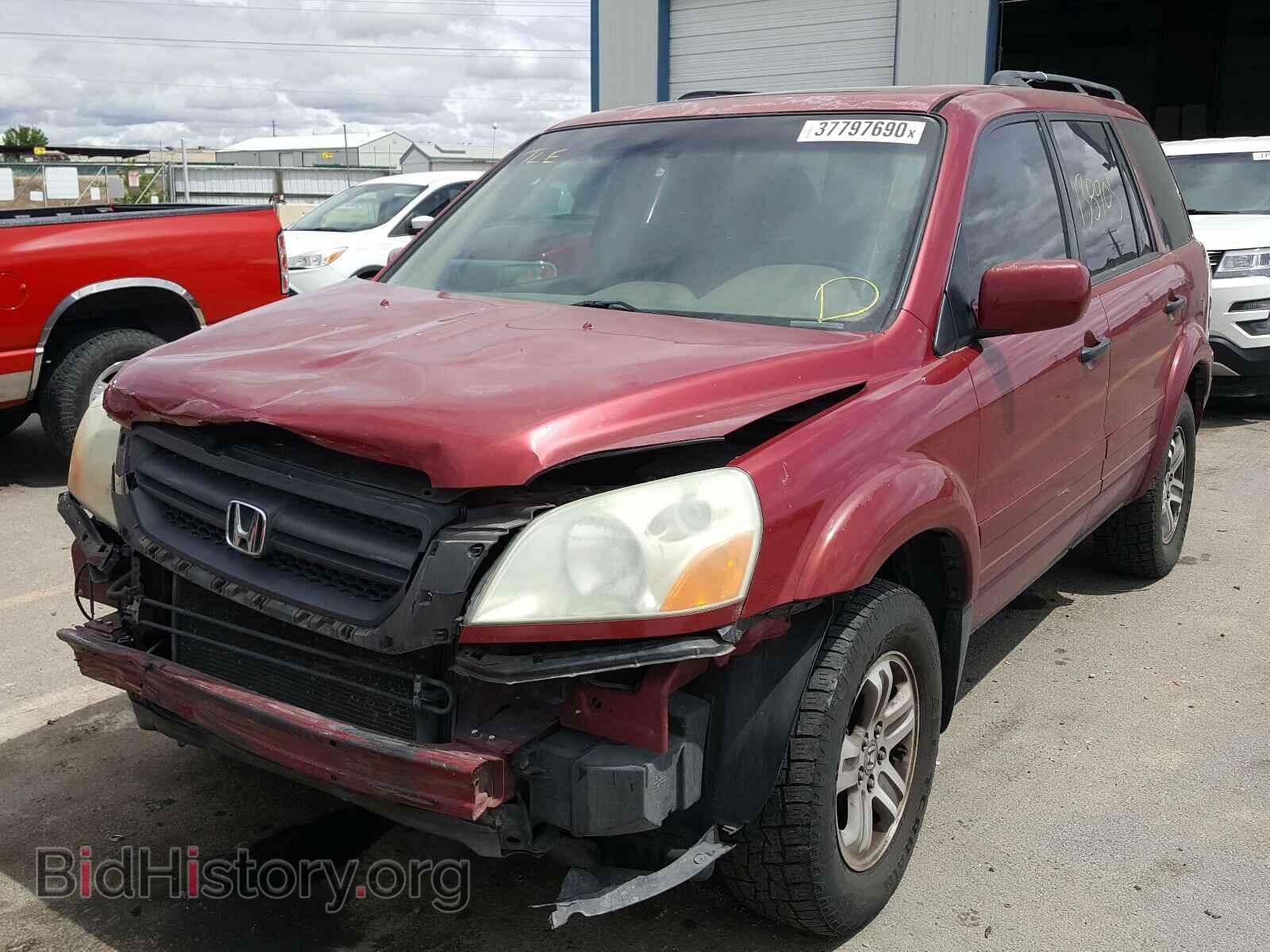 2005 HONDA PILOT - VIN: 2HKYF18625H506245 - Фото 2