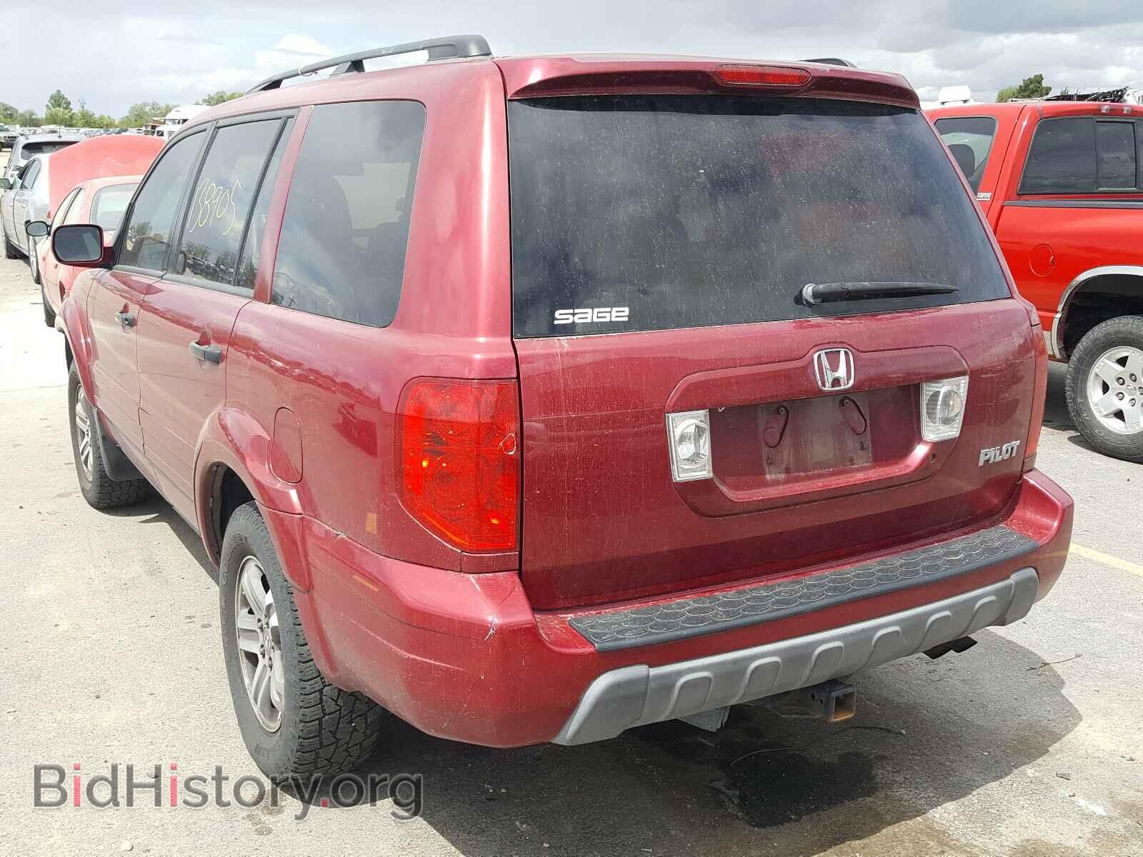 2005 HONDA PILOT - VIN: 2HKYF18625H506245 - Фото 3
