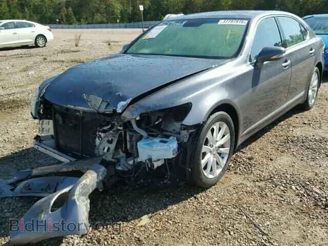 2012 LEXUS LS460 - VIN: JTHDL5EF9C5004301 - Фото 2