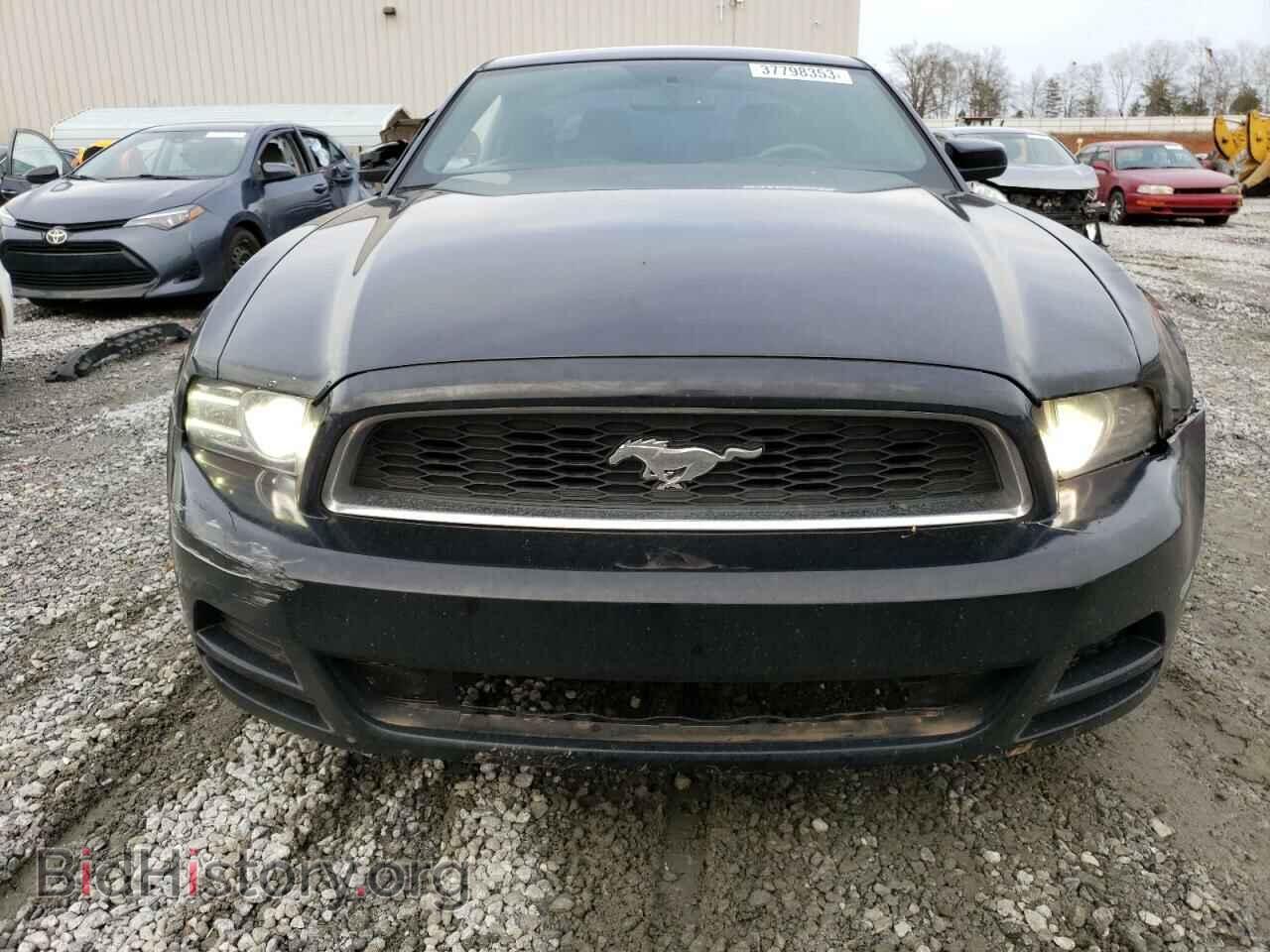 2014 FORD MUSTANG - VIN: 1ZVBP8AM2E5272304 - Фото 5